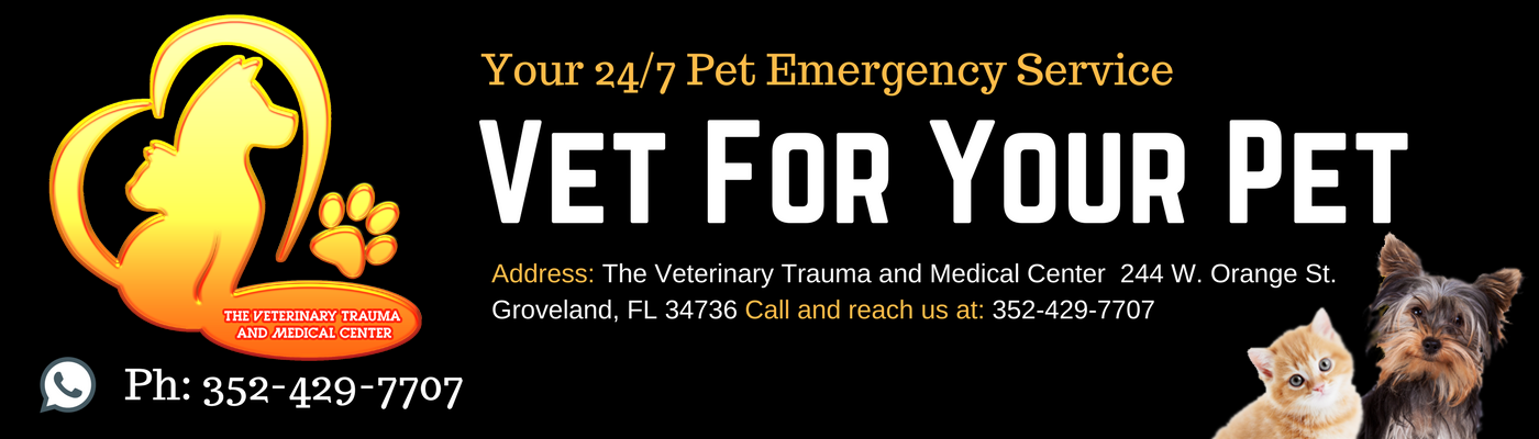 Veterinary Trauma and Medical Center